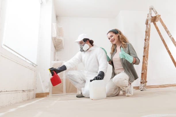 Best Mold Damage Restoration  in Fallbrook, CA